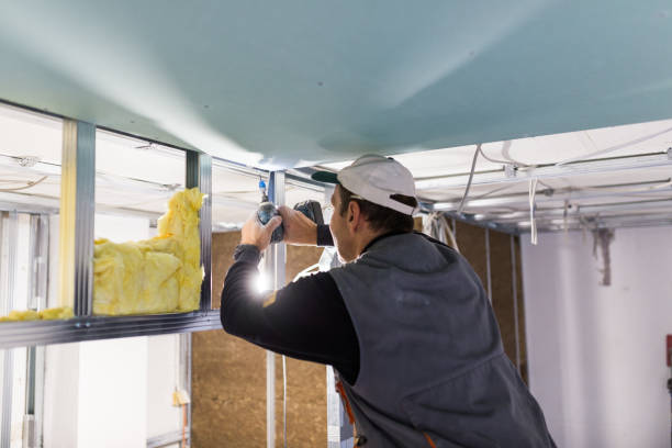 Best Insulation Maintenance and Repair in Glendale Heights, IL