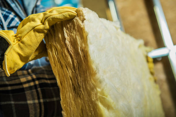 Best Specialized Insulation Services in Glendale Heights, IL